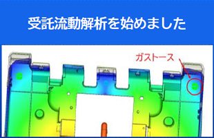 ラジエタースプルー